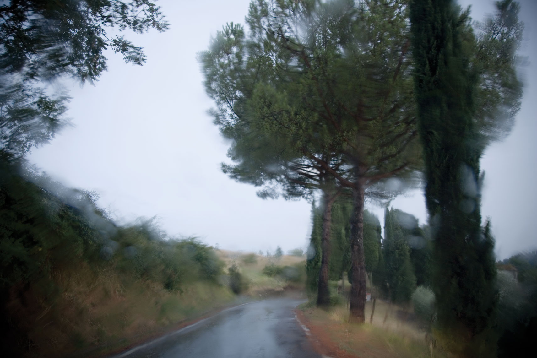 Fiesole_0482