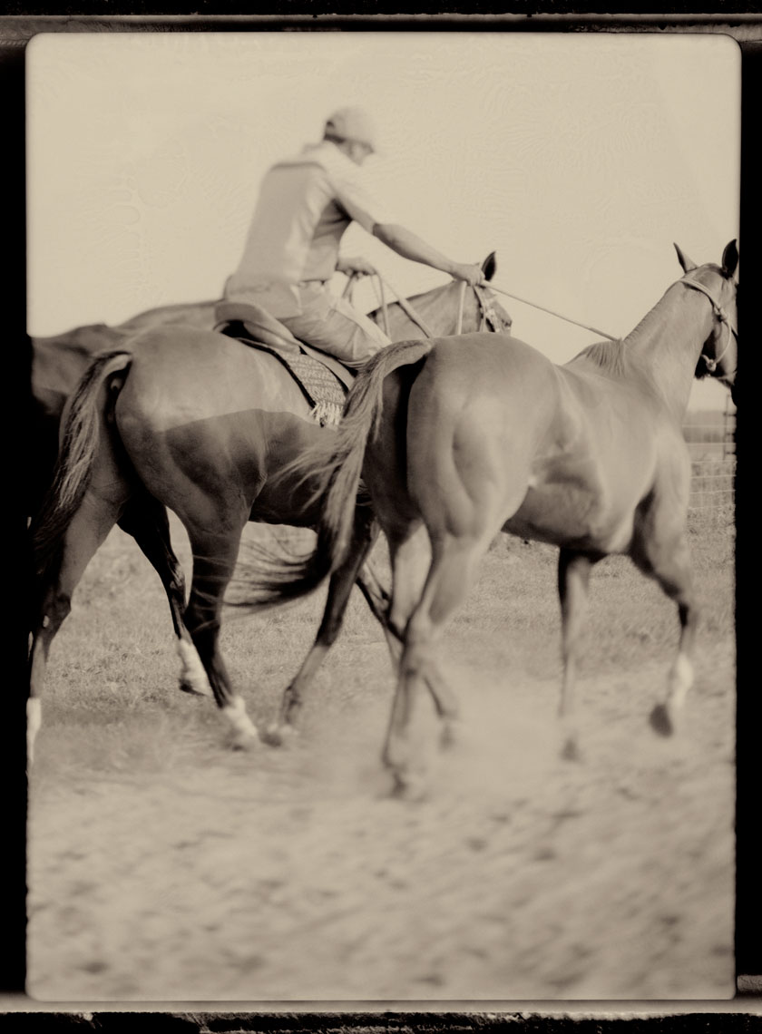 Polo_10